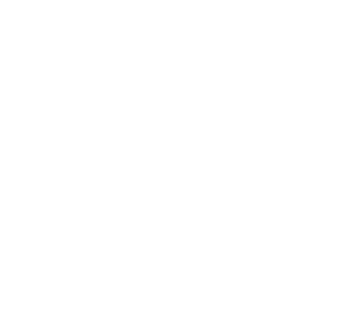 Bajaj Auto